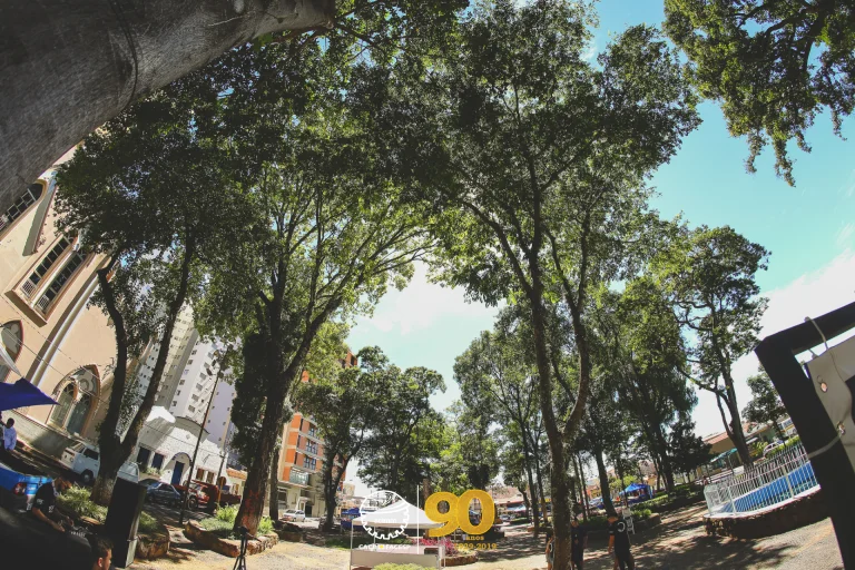 Techno-no-Jardim-05